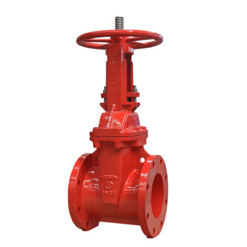 Professional Series: AAP 350MM CI Gate Valve UL/FM OS&Y